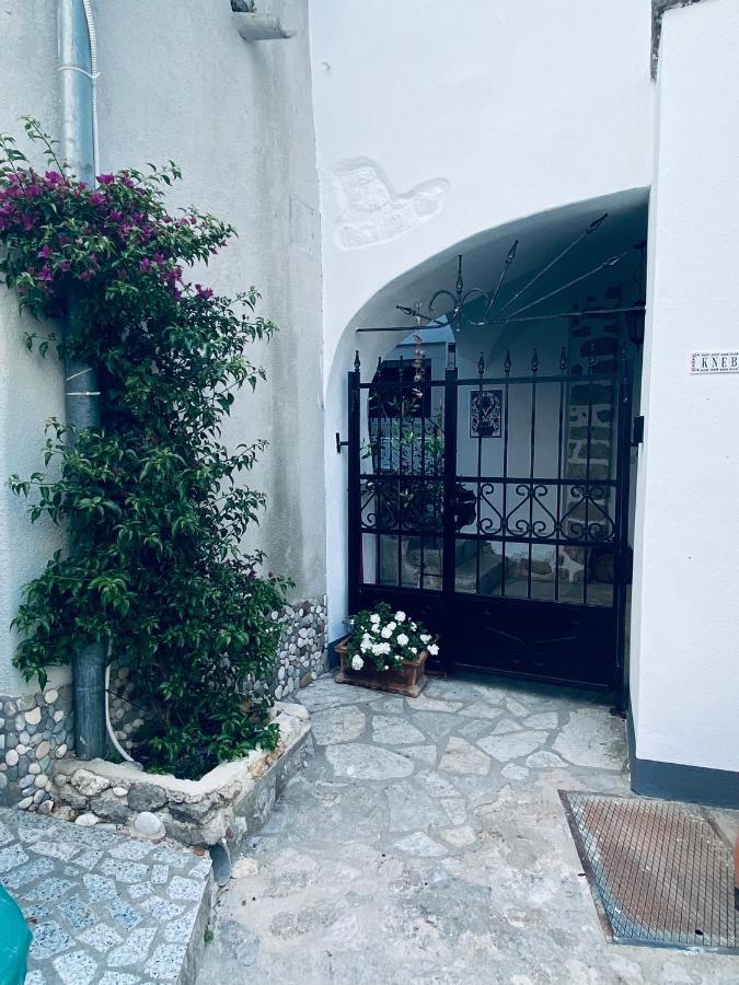 Apartments Getruda Krk Town Zewnętrze zdjęcie